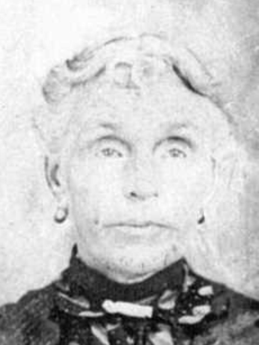 Mary Louise Sylvia Riggs (1852 - 1909) Profile